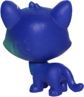 #3-6 Mini Kitten "Asteroid Tortiecat"